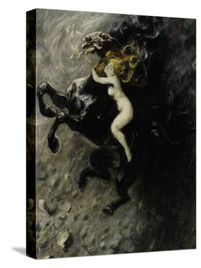 Stretched Canvas Print, , large
