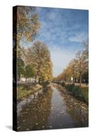 The Singel (Canal)-Mark Doherty-Stretched Canvas