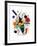 The Singer-Joan Miro-Framed Art Print