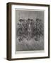 The Singers, the Band of a Russian Cavalry Regiment-Paul Frenzeny-Framed Giclee Print