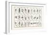 The Single-Handed Alphabet-null-Framed Giclee Print