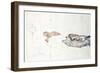 The Single Orange Was the Only Light-Egon Schiele-Framed Giclee Print