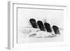 The Sinking of RMS Lusitania, 7 May 1915-Oliver Bernard-Framed Giclee Print