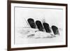 The Sinking of RMS Lusitania, 7 May 1915-Oliver Bernard-Framed Giclee Print
