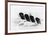 The Sinking of RMS Lusitania, 7 May 1915-Oliver Bernard-Framed Giclee Print