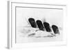 The Sinking of RMS Lusitania, 7 May 1915-Oliver Bernard-Framed Giclee Print