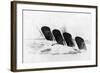 The Sinking of RMS Lusitania, 7 May 1915-Oliver Bernard-Framed Giclee Print