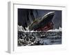 The sinking of SS Titanic, 14 April 1912-Unknown-Framed Giclee Print