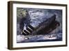 The Sinking of the Titanic-Graham Coton-Framed Giclee Print