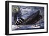 The Sinking of the Titanic-Graham Coton-Framed Giclee Print