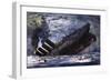 The Sinking of the Titanic-Graham Coton-Framed Giclee Print