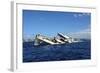 The Sinking of Uss Kittiwake, Grand Cayman-Stocktrek Images-Framed Photographic Print