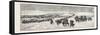 The Sioux War: the Powder River Expedition Crossing the Platte River-null-Framed Stretched Canvas