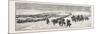 The Sioux War: the Powder River Expedition Crossing the Platte River-null-Mounted Giclee Print