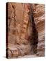 The Siq, Petra, Jordan, Middle East-Sergio Pitamitz-Stretched Canvas