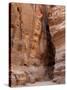 The Siq, Petra, Jordan, Middle East-Sergio Pitamitz-Stretched Canvas