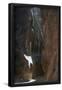 Essential Black
