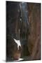 Wood Mount