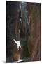 Wood Mount