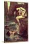 The Siren-John William Waterhouse-Stretched Canvas