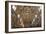 The Sistine Chapel by Michelangelo in the Vatican Museums, Rome, Lazio, Italy, Europe-Carlo-Framed Photographic Print