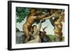 The Sistine Chapel; Ceiling Frescos after Restoration, Original Sin-Michelangelo Buonarroti-Framed Giclee Print