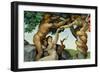 The Sistine Chapel; Ceiling Frescos after Restoration, Original Sin-Michelangelo Buonarroti-Framed Giclee Print