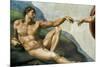 The Sistine Chapel; Ceiling Frescos after Restoration, the Creation of Adam-Michelangelo Buonarroti-Mounted Giclee Print