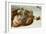 The Sistine Chapel; Ceiling Frescos after Restoration-Michelangelo Buonarroti-Framed Giclee Print