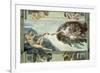 The Sistine Chapel: Creation of Adam, 1510-Michelangelo Buonarroti-Framed Giclee Print