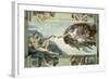 The Sistine Chapel: Creation of Adam, 1510-Michelangelo Buonarroti-Framed Giclee Print