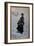 The Skater, 1875 (Oil on Panel)-Giuseppe Or Joseph De Nittis-Framed Giclee Print