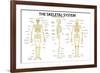 The Skeletal System Anatomy and Physiology Science Chart-null-Framed Art Print