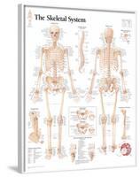 The Skeletal System Chart Poster-null-Framed Poster