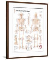 The Skeletal System Chart Poster-null-Framed Poster