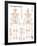 The Skeletal System Chart Poster-null-Framed Poster