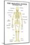 The Skeletal System Posterior View Anatomical Chart Scientific Poster Print-null-Mounted Poster