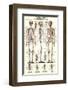 The Skeletal System-null-Framed Premium Giclee Print