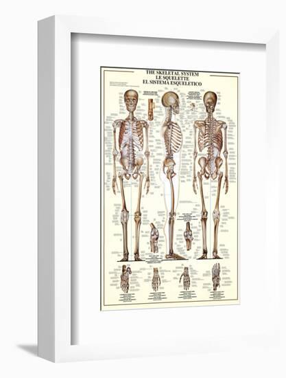 The Skeletal System-null-Framed Premium Giclee Print