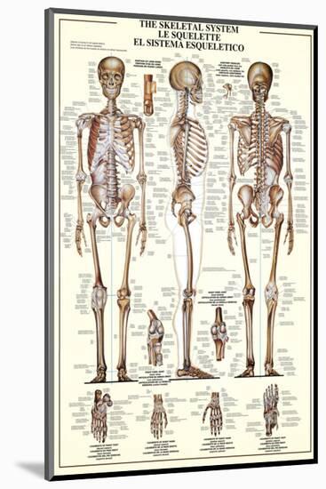 The Skeletal System-null-Mounted Premium Giclee Print