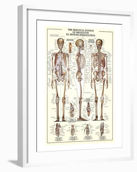 The Skeletal System-null-Framed Art Print