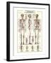 The Skeletal System-null-Framed Art Print