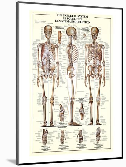 The Skeletal System-null-Mounted Art Print