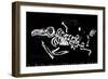 The Skeleton of a Bird Which Ate Plastic Waste and Died of Indigestion-Dmitriip-Framed Art Print