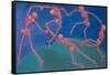 The (Skelly) Dance-Marie Marfia Fine Art-Framed Stretched Canvas