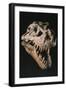 The Skull of T- Rex Sue on Exhibition at the Field Museum, Chicago.-Ira Block-Framed Giclee Print