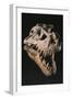 The Skull of T- Rex Sue on Exhibition at the Field Museum, Chicago.-Ira Block-Framed Giclee Print