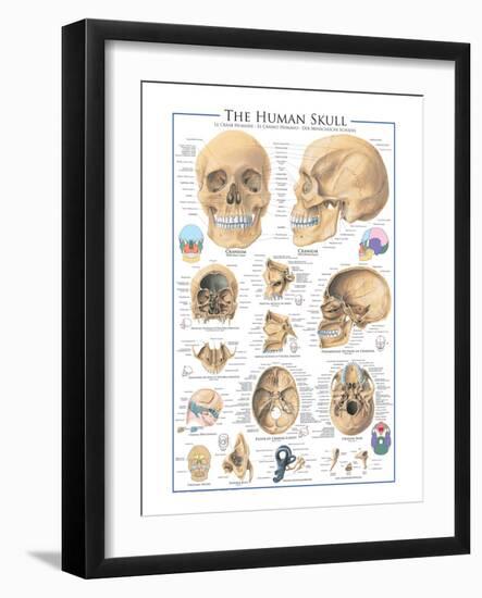 The Skull-null-Framed Art Print