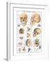 The Skull-null-Framed Art Print