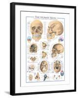 The Skull-null-Framed Art Print